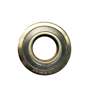 ปะเก็นเหล็ก Spiralwound 